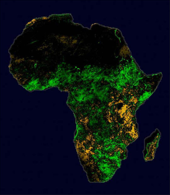 By closely monitoring the vegetation in the region affected by increased rainfall using weather satellites, scientists can identify the actual areas affected by outbreaks of Rift Valley Fever in East Africa. Scientists use satellite images to show regions of Africa that are greener (and wetter) than normal or more brown (and drier) than normal.