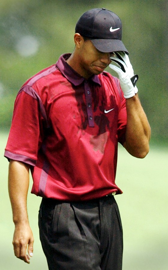 MASTERS WOODS
