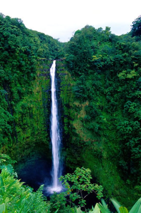 Image: Akaka Falls State Park