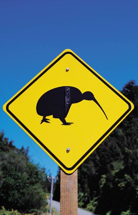 Image: Kiwis