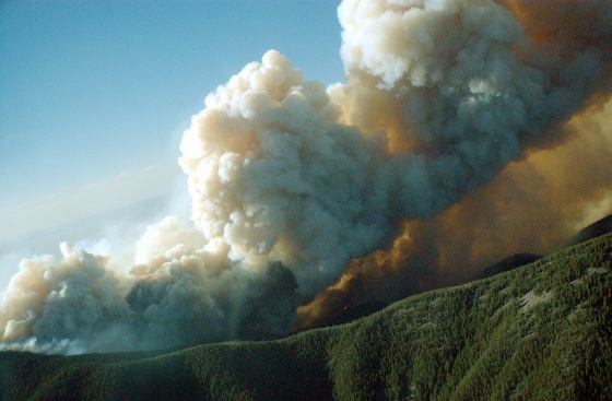 Columns of smoke rise to more than 15,000 feet from Peppin Canyon during the Peppin Fire, Monday, in Capitan, N.M. 