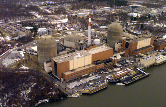 INDIAN POINT NUCLEAR PLANT