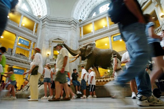 Vistors walk past a giant elephant named Henry in&nbsp;the rotunda of the National Museum of Natural History on Tuesday. 