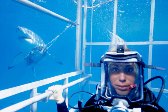 "National Geographic Ultimate Explorer" correspondent Mireya Mayor ventures into dangerous waters with acclaimed underwater cinematographer Bob Cranston as they attempt to use sound waves to attract one of the world’s most fearsome predators — the great white shark.