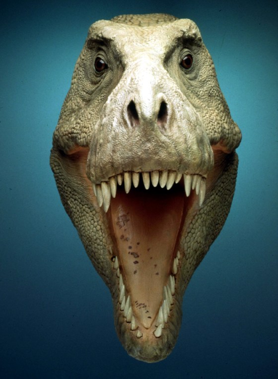 RECONSTRUCTION SCULPTURE OF DINOSAUR SUE