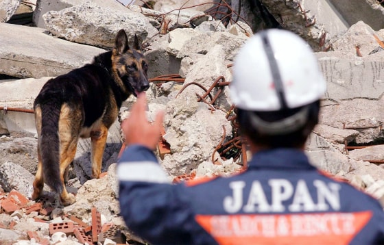 GERMANY-RESCUE DOG CHAMPIONSHIPS