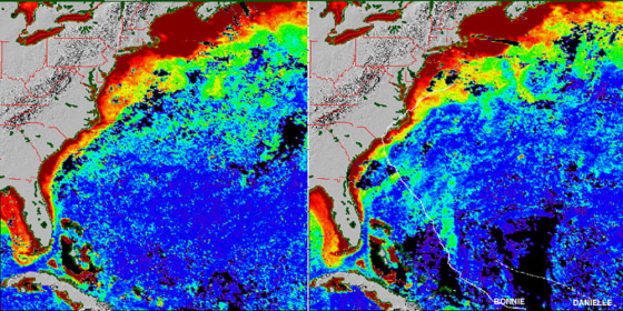 NASA's SeaWiFS instrument captured before, left, and after images of Hurricane Bonnie off the U.S. coast in August 1998. The green represents phytoplankton blooms, with a wider stretch in the 'after' view.
