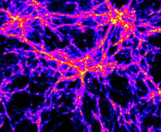 matter in thin filaments. High-density regions (yellow) undergo collapse and ignite bursts of star formation. These proto-galaxies stream along the filaments (red shows medium density) and meet at nodes, causing a buildup of galaxies. Low-density areas are blue.