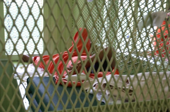 DETAINEE AT CAMP DELTA