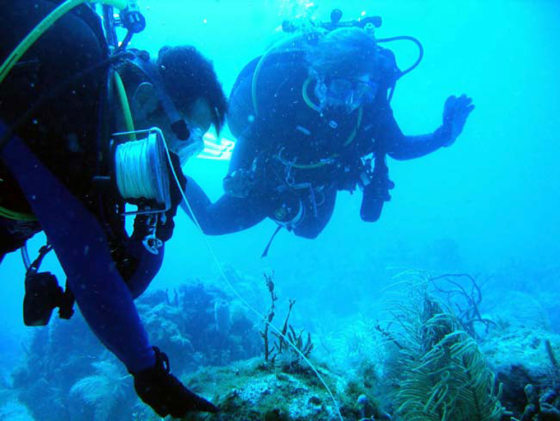 NASA crewmembers work with a cave reel line during a training session underwater.