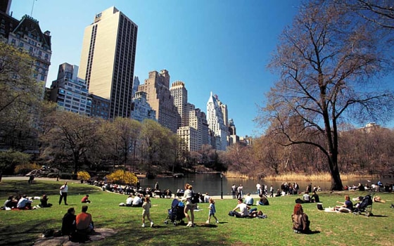 Image: Central Park
