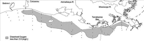 Gray areas on the chart show the "dead zone" of oxygen-poor water off the coast of Louisiana.