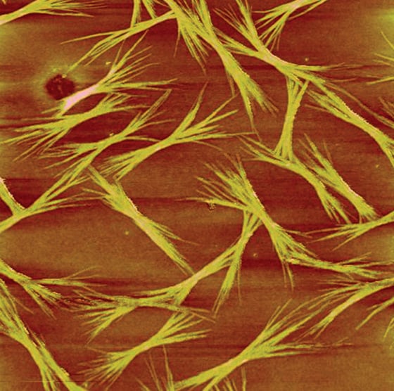 Small Structures Science Scientists build tiny structures out of RNA