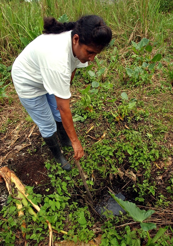 Noemi Delgado, a resident of La Joya de los Sachas, Ecuador, points to a water well with oil inside. Locals say ChevronTexaco needs to do a better cleanup job as well as taking care of medical problems.