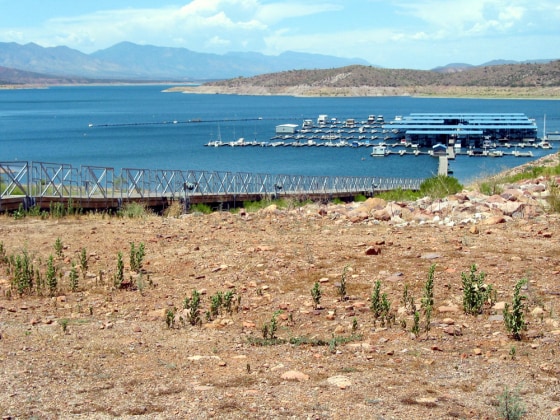 The ramp leading to the marina at Roosevelt Lake in Arizona is seen on Aug. 12, with much of the ramp on dry land.