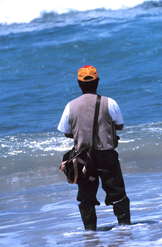 A recreational saltwater fisherman doesn't deplete resources on his or her own, but a new study found that as a group they are significant contributors.