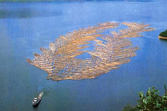 A boat pulls recently cut timber in North Korea, where the U.N. Environment Program said logging practices are destroying wilderness areas.