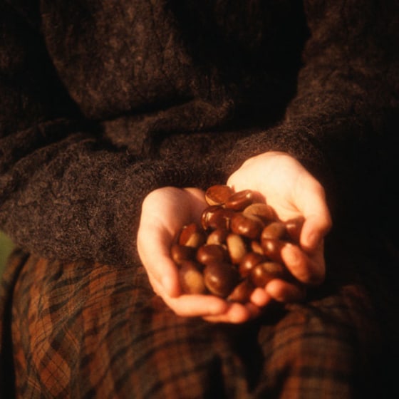 Four major population studies have linked frequent consumption of nuts with 30 to 50 percent lower risk of heart disease.