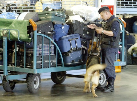 A police officer with a sniffer dog inspects loads of luggage at Domodedovo airport outside Moscow