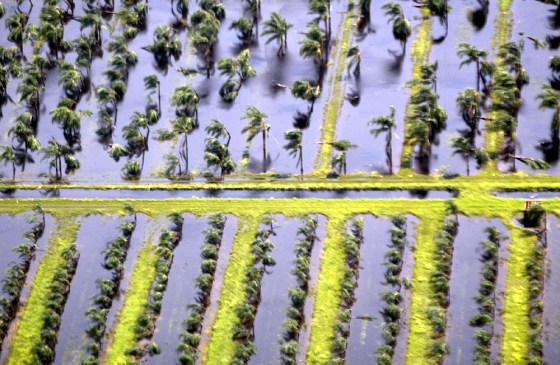 Farms show flood damage after hurricane Frances hit in Stuart, Florida