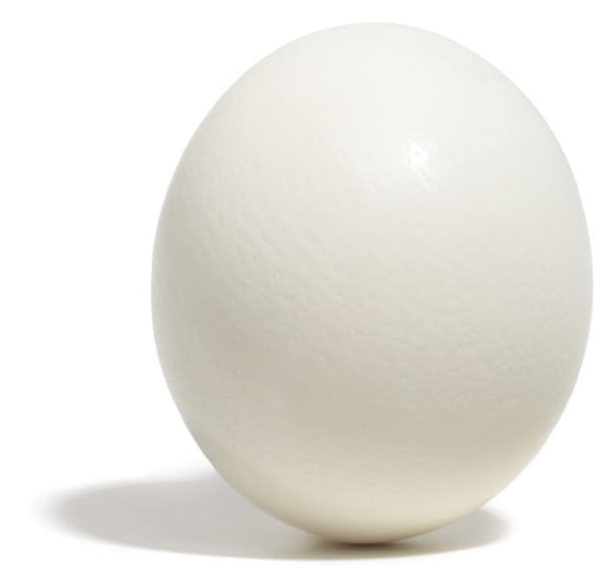 Image: Egg