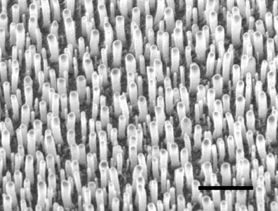 This photomicrograph shows an array of aligned, but randomly placed, carbon nanotubes that can act like a radio antenna for detecting light at visible wavelengths. The scale bar in the lower right corner of the image is one micron in length — less than a fiftieth the width of a human hair.