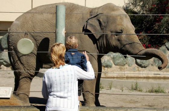 TINKERBELLE SAN FRANCISCO ZOO