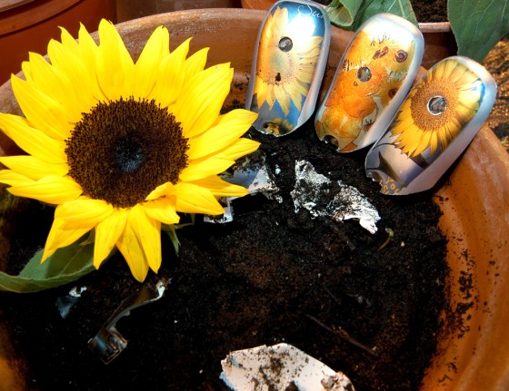 Cell phone covers made of a biodegradable material are seen in various states of decay. 