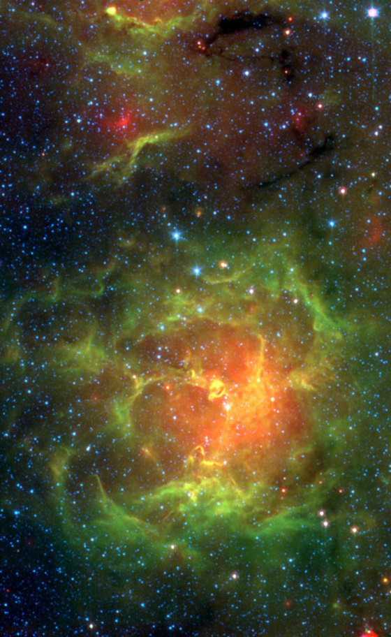 Massive stars-to-be in the Trifid Nebula are captured on the verge of erupting to life in this infrared image taken by the Spitzer Space Telescope.