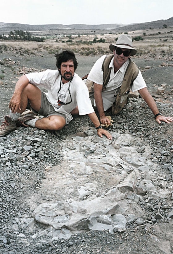 Roger Smith of the South African Museum and Peter Ward of the University of Washington show off the fossil of a gorgonopsid, a predator that disappeared about 250 million years ago in the Permian-Triassic mass extinction. The fossil was discovered in the Karoo region of South Africa.