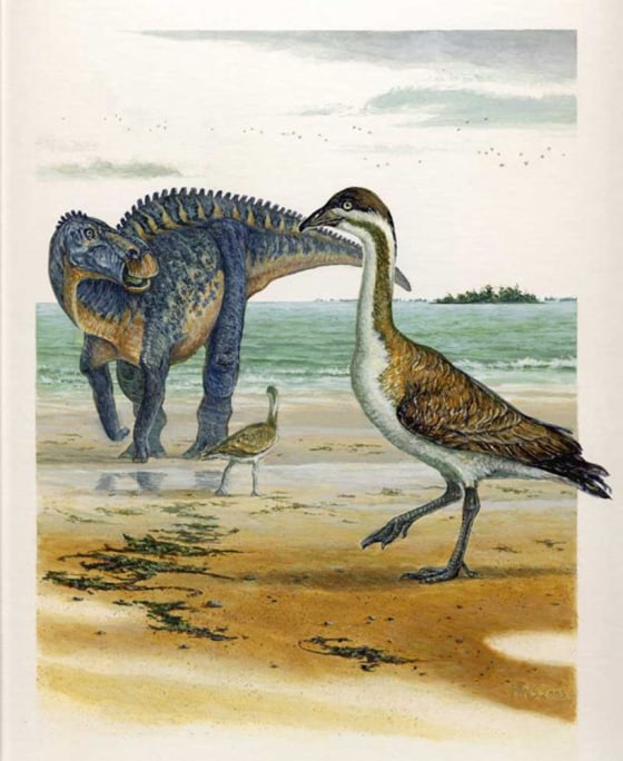An artist's impression shows an ancient species of waterfowl, Vegavis iaai, in the foreground with a duckbill dinosaur in the background.