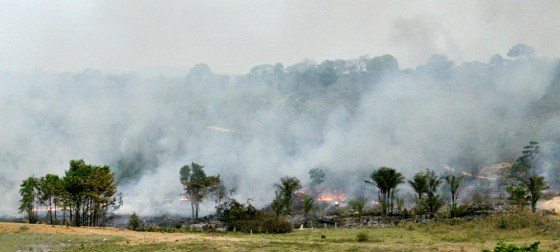 File photo of Amazon forest being cleared for pasture