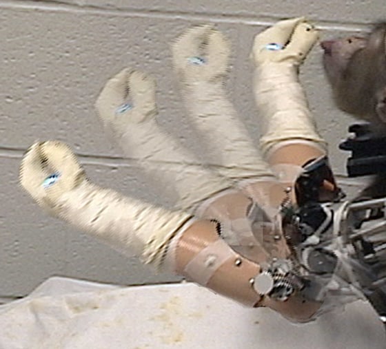 A time-lapse photograph shows a monkey raising a piece of zucchini to its lips using a thought-controlled robotic arm. The monkey's real arms are restrained.