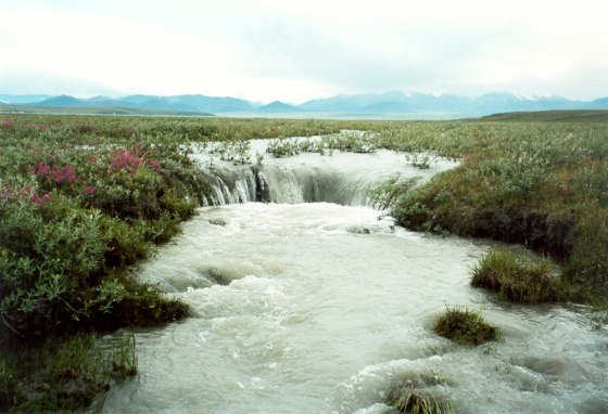 This part of the Arctic National Wildlife Refuge lies within the area along the coastal plain where oil drilling is being considered.