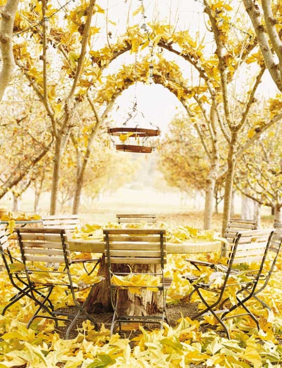 The backyard table at the Apple Farm