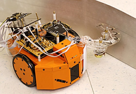 The robotic roach uses a complex antenna to feel its way around obstacles, just as biological cockroaches do.