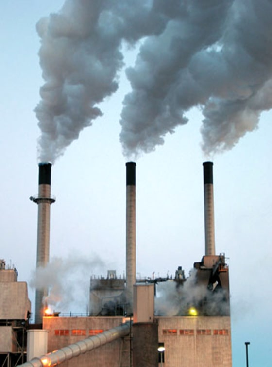 Coal-fired power plants like this one are major emitters of mercury, which enters the food chain via the air and water.