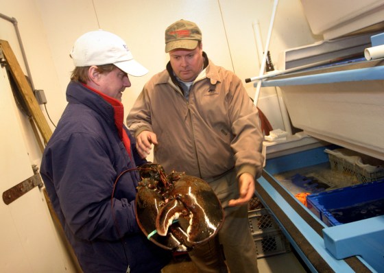Jeff Grolig of River Falls Seafood delivers a&nbsp;gargantuan&nbsp;lobster nicknamed Donovan to Kurt Friesland of J.J. McDonnell in Jessup, on Wednesday, prior to its release.