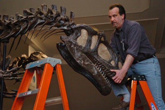 Workers begin the process of removing (or disarticulating) the skull from Allosaurus fragilis at the Carnegie Museum of Natural History on Monday.