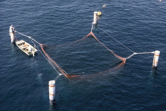 This view from an oil platform 35 miles off Texas shows a prototype submerged net pen for raising fish.