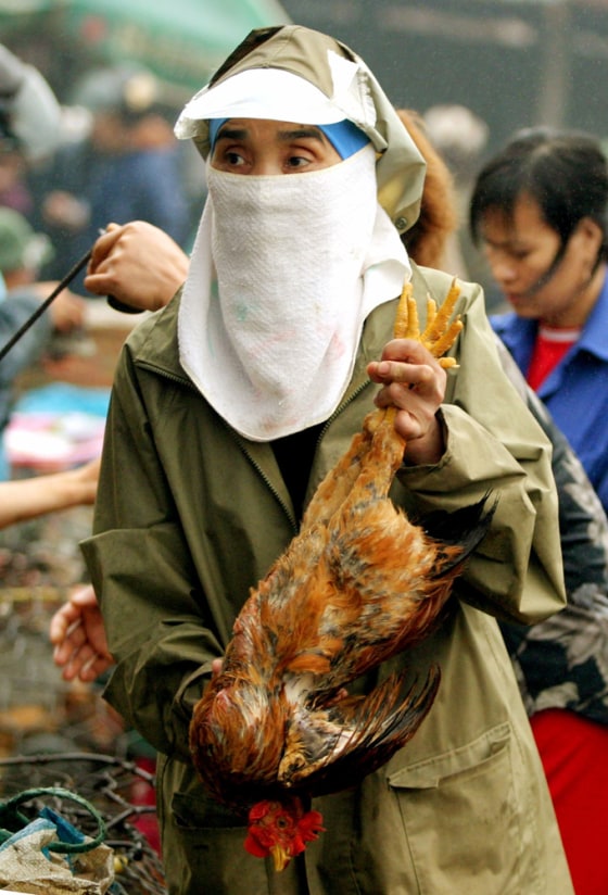 A Vietnamese woman holds a chicken at a wholesale poultry market in Hanoi
