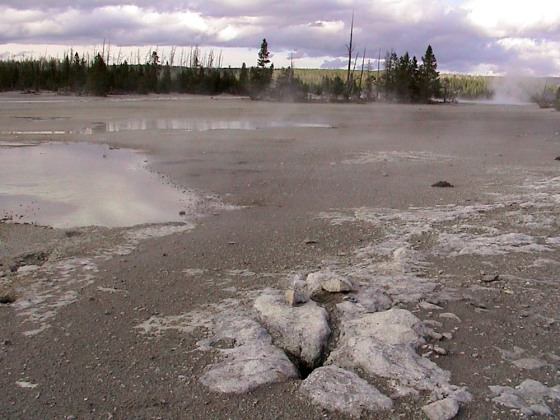 Fossilized microbes were found around Yellowstone's Norris Geyser Basin, one of the hottest geysers in the world. If there was ancient microbial life on Mars, it might have left similar traces in Martian rocks, scientists say.