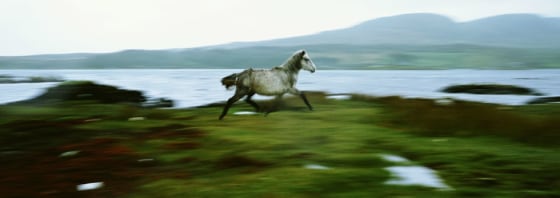 The solidtude of Connemara, a region on Ireland's west coast