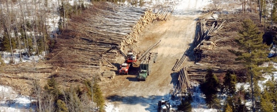 Loggers from T.R. Dillon Logging Inc. load trees from a clearcutting operation on the company's land in Success, N.H. Dillon has recently purchased thousands of acres of land in Northern New England, clearcutting large portions that has raised concerns. 