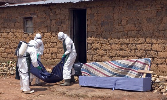 A World Health Organisation (WHO) alert