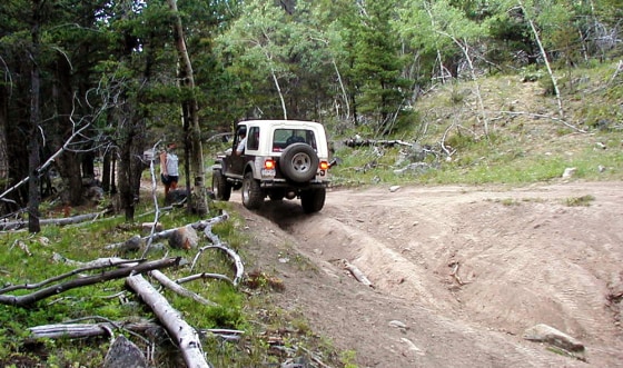 This is a designated off-road vehicle&nbsp;route inside&nbsp;the Helena National Forest in Montana, but many unauthorized trails have been carved in recent years across federal lands.