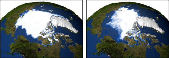 Arctic sea ice has been decreasing at a rate of nine percent per decade, according to data from NASA satellites and other sources. The image at left shows the minimum sea ice concentration for 1979, and the one at right shows the minimum in 2003.