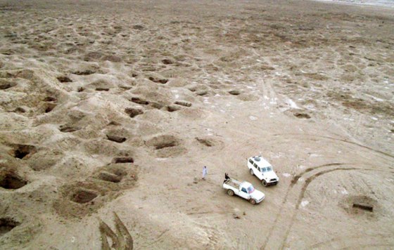 The World Monuments Fund listed the entire country of Iraq as an endangered cultural site because of widspread looting at archeological sites like this one.