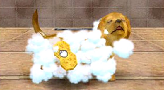 Taking the time to clean your puppy earns its loyalty. Negligence leads to a grumpy collection of pixels