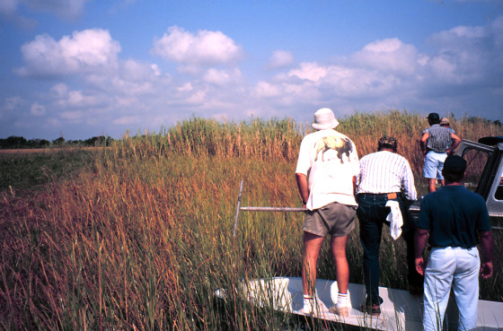 Wetland scientists evaluate a potential marsh restoration project in Louisiana's Barataria Basin, south of New Orleans.